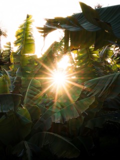 Kevin Mueller landscape photo